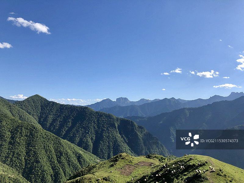 甘南迭部县腊子口景区图片素材