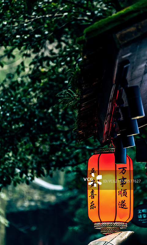 浙江杭州西湖灵隐寺挂在树上的灯笼的低角度视图.平安喜乐.万事顺遂图片素材