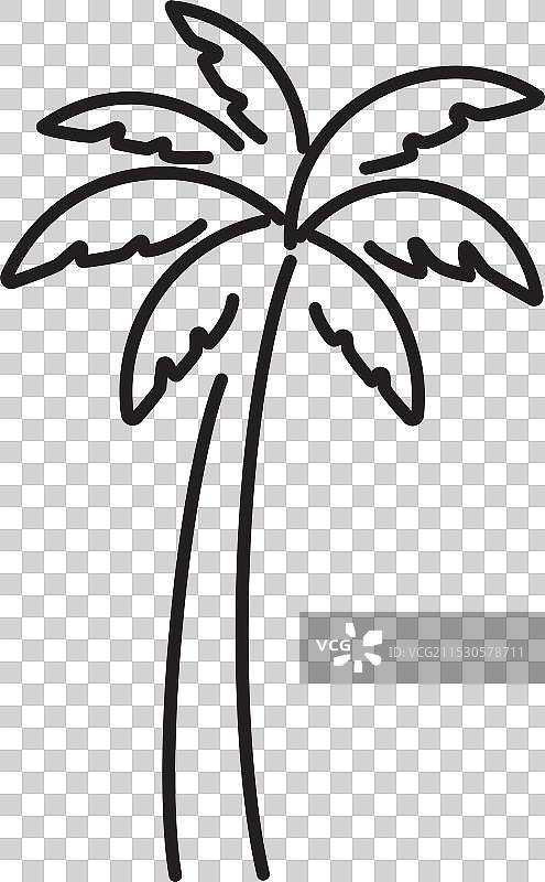 抽象的棕榈树轮廓图片素材