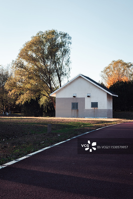 秋天的树木和房屋图片素材