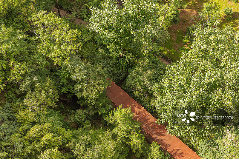 麦积山石窟在甘肃省天水市麦积区，是中国四大石窟之一，被誉为“东方雕塑馆”。石窟始建于后秦。图片素材