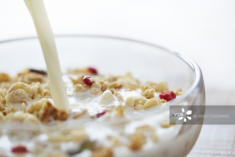 燕麦片图片素材