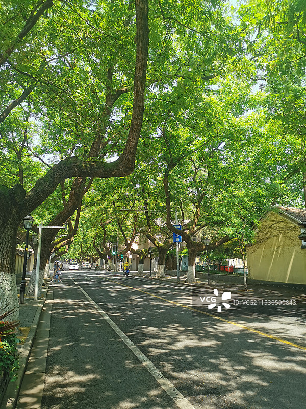 南京颐和路图片素材