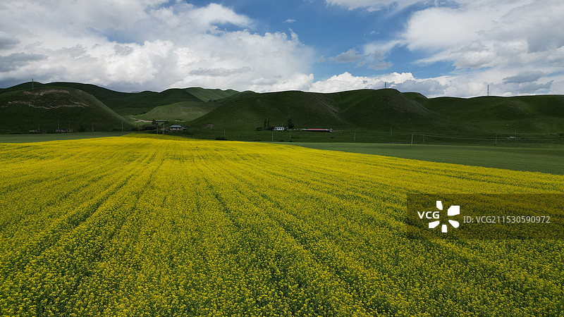 伊犁那拉提国家湿地公园景区图片素材