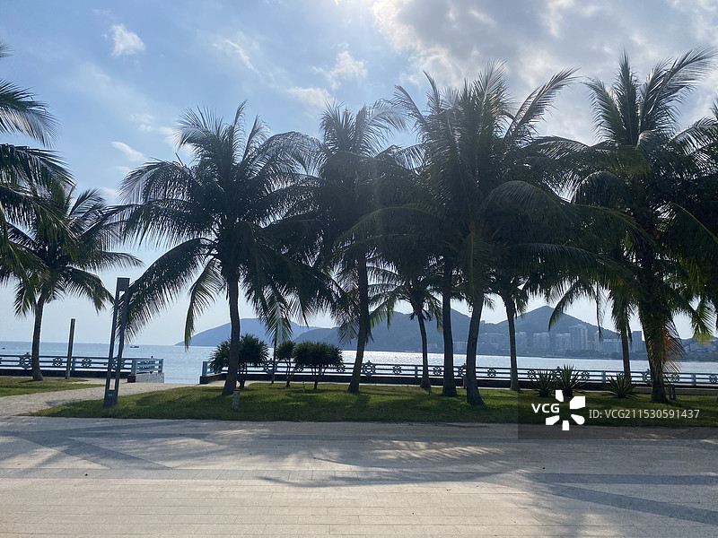 三亚大东海旅游区图片素材