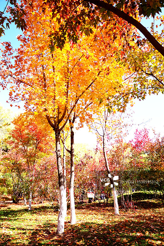 佳木斯市双拥公园图片素材