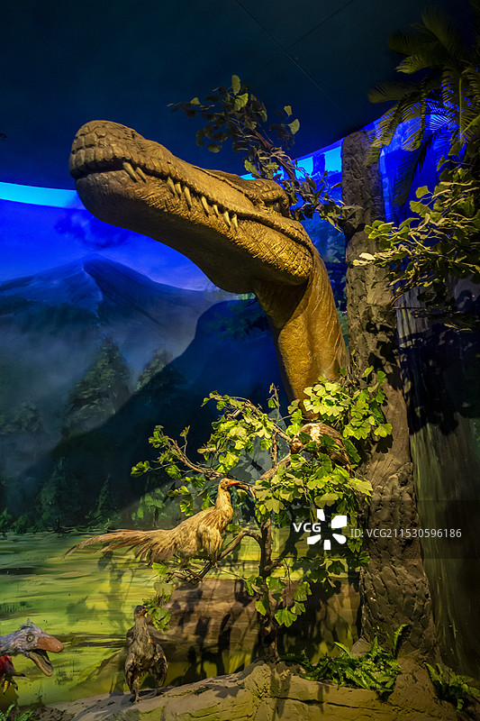 安徽省地质博物馆生命演化厅：热河生物群复原景观图片素材