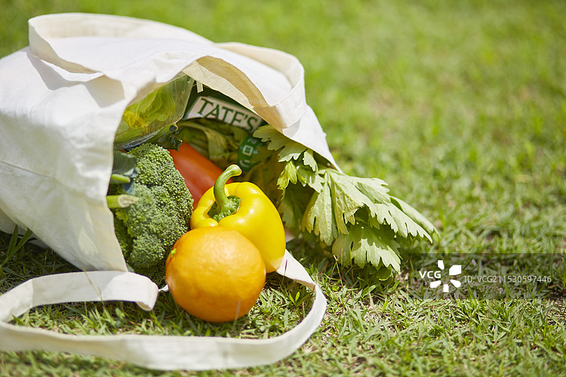 草坪上的环保袋和蔬菜图片素材