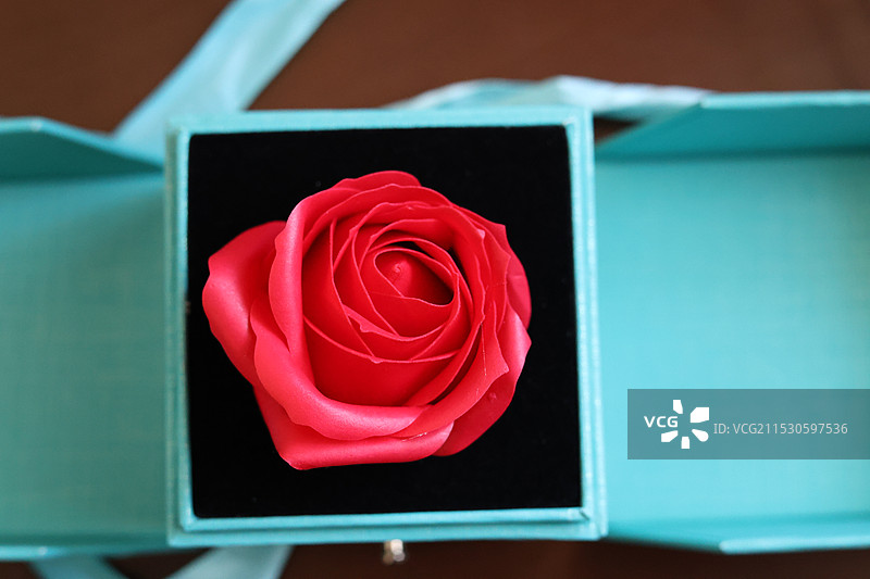 玫瑰花特写镜头图片素材