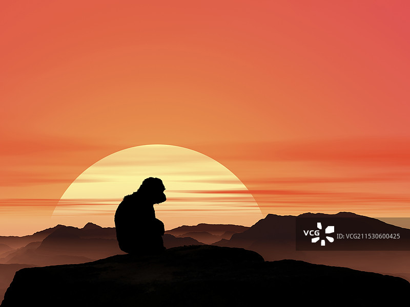 日出与猴子图片素材