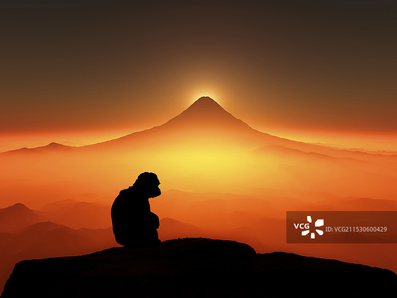 富士山与猴子图片素材