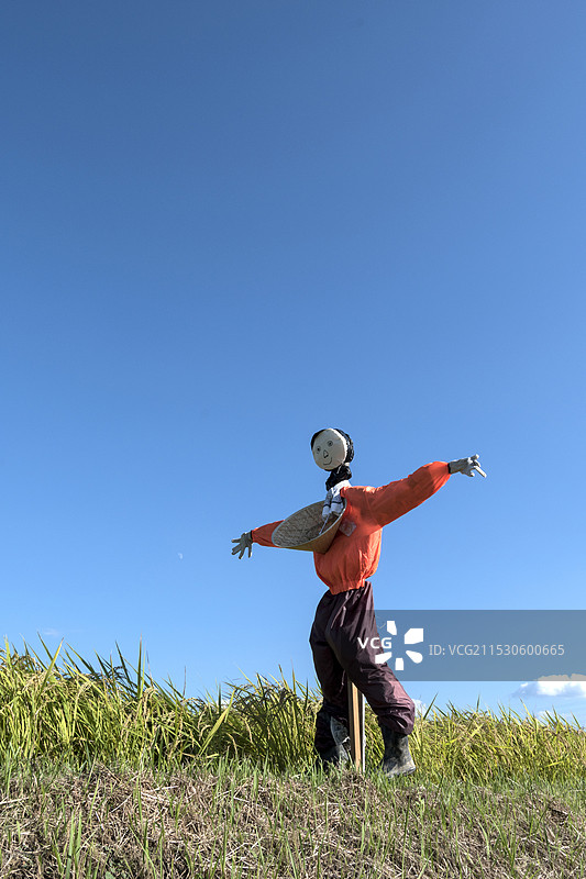蓝天与稻草人图片素材
