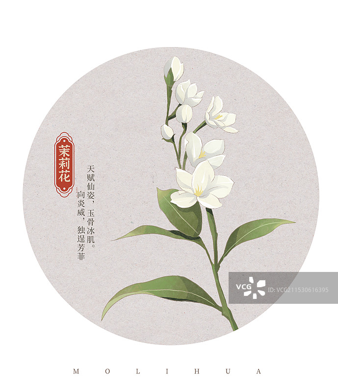 茉莉花国潮国风水彩插画图片素材