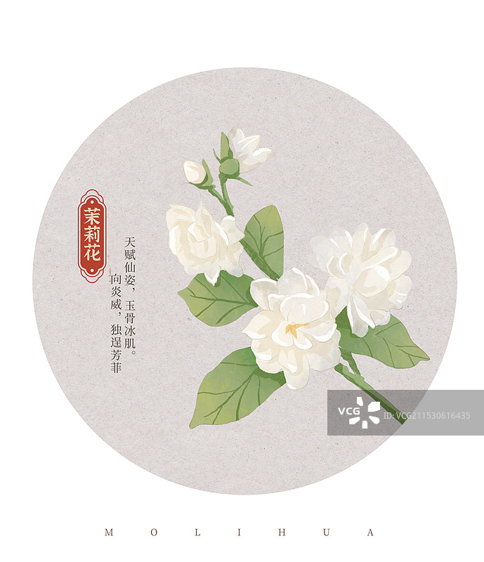 茉莉花国潮国风水彩插画图片素材