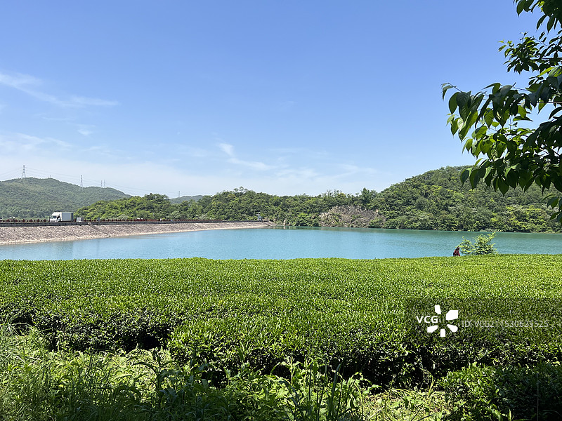 水库果冻色水面茶园图片素材