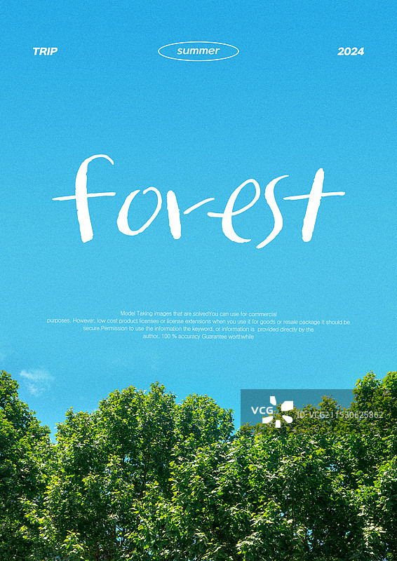 树木，背景，海报，展览，绿色，风景，森林图片素材