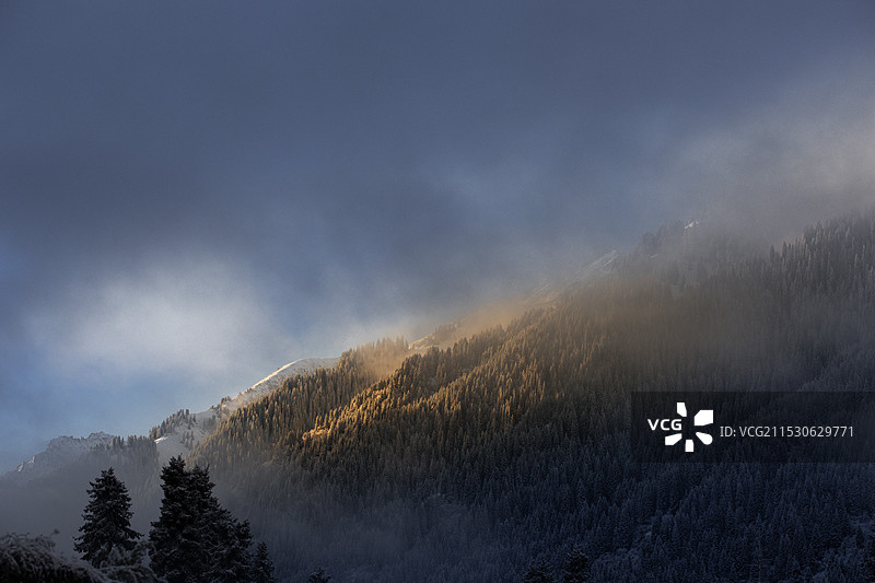 云蒸松雪图片素材