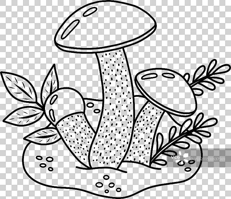 蘑菇和草药图片素材