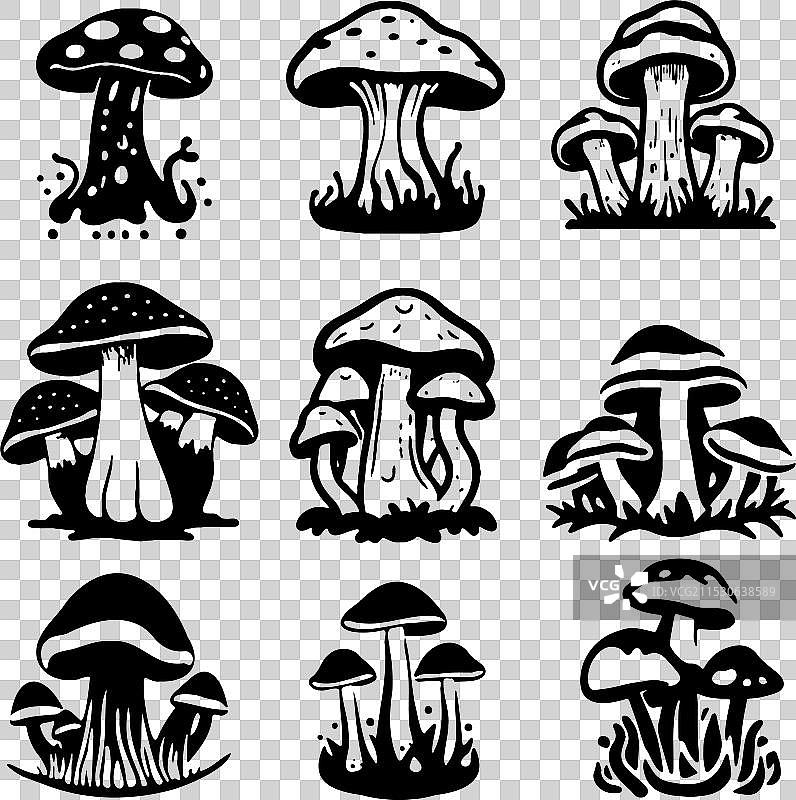 黑白蘑菇剪影模板图片素材