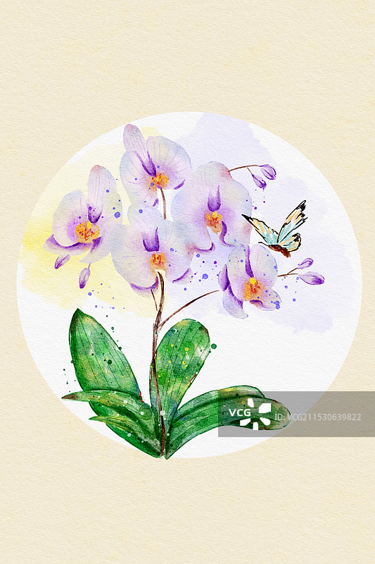 水彩手绘蝴蝶兰图片素材