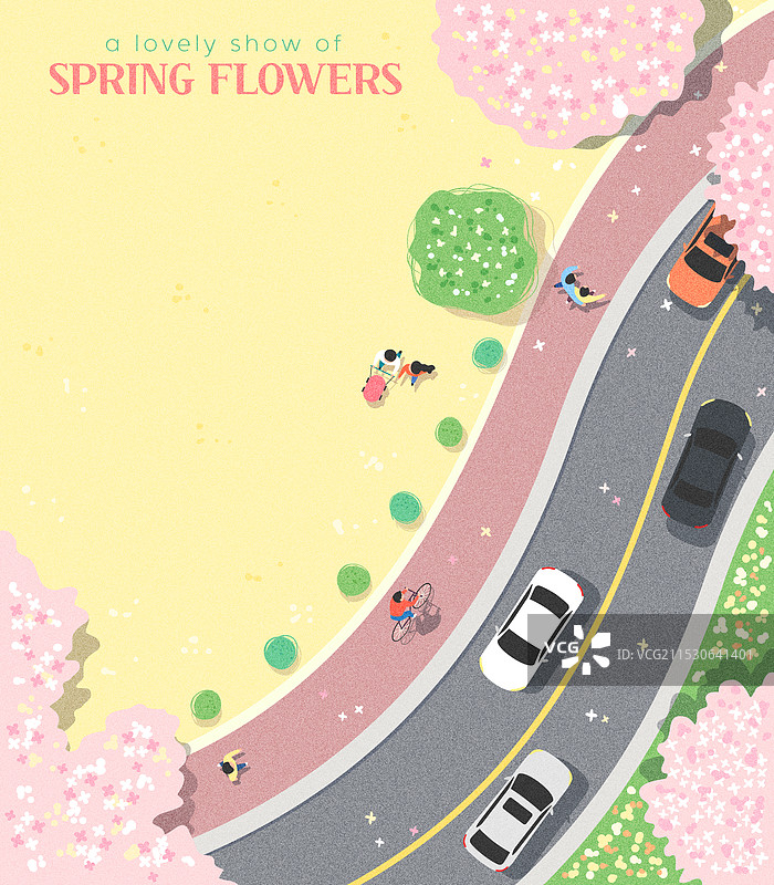 春天的背景，俯视角度，风景，樱花树，公园图片素材