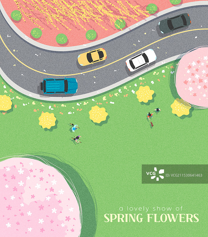 春天的背景，俯视角度，风景，樱花树，公园图片素材