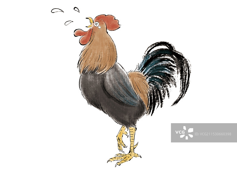 公鸡图片素材