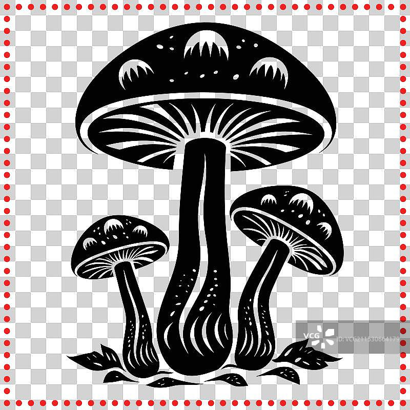 黑白蘑菇的永恒优雅图片素材