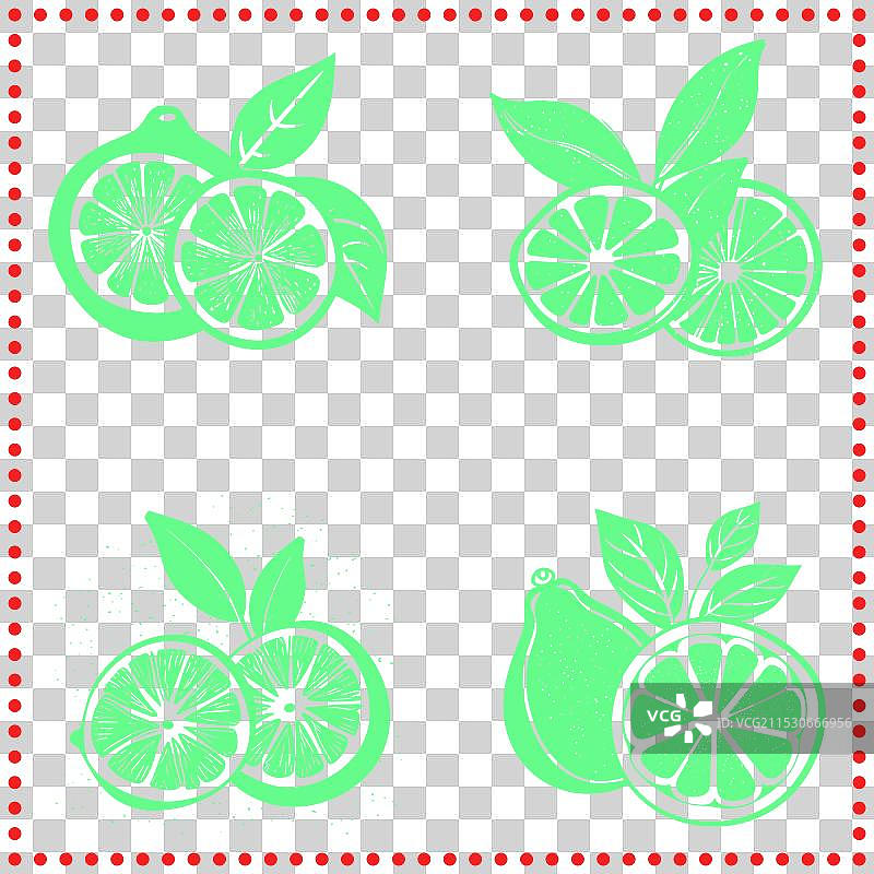 柑橘类水果组合，带有叶子和切片图片素材