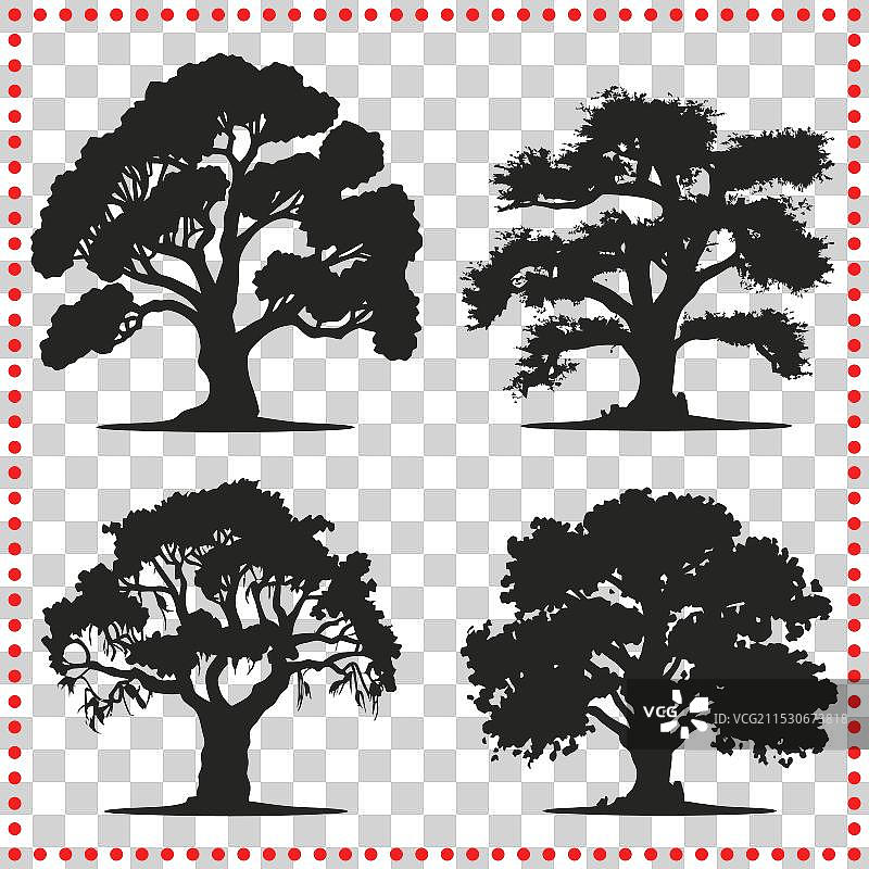 优雅的橡树剪影，适合传统和图片素材