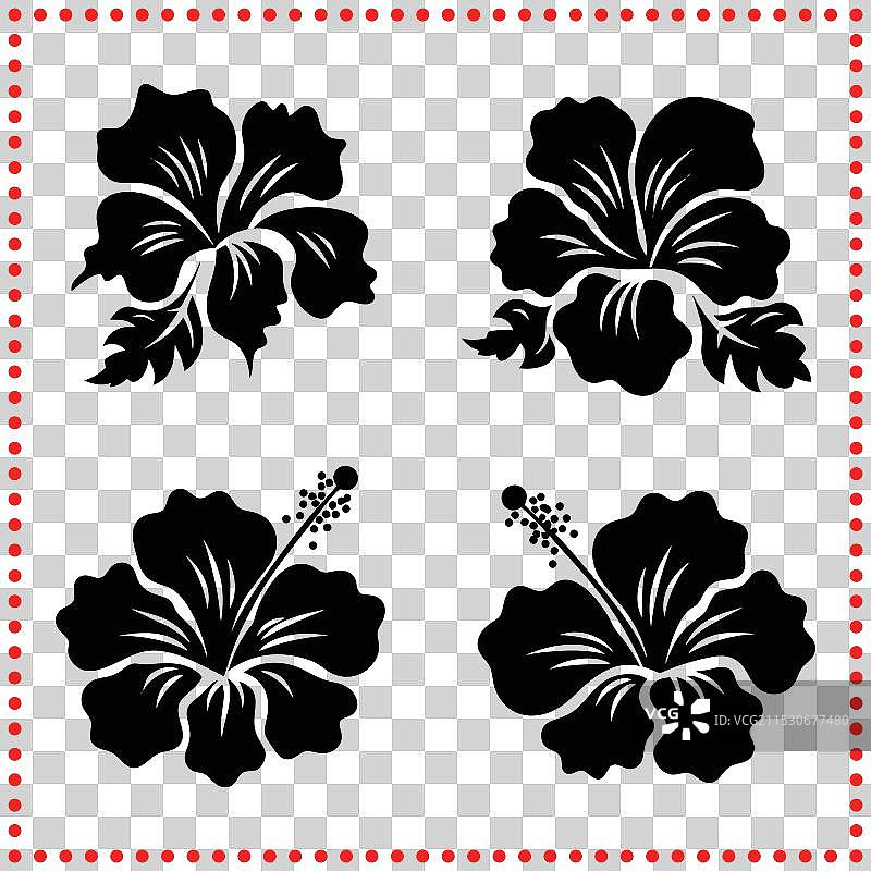 经典的单色木槿花剪影图片素材