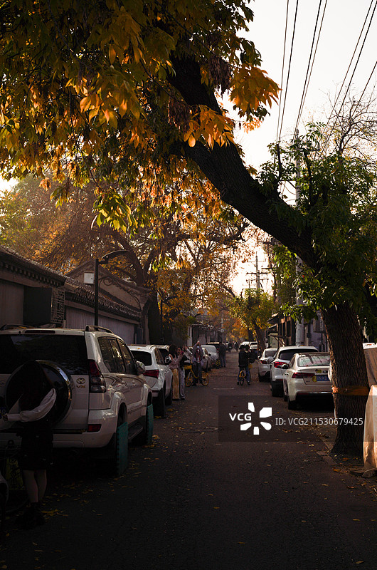 藏在北京二环胡同里的绝美金秋图片素材