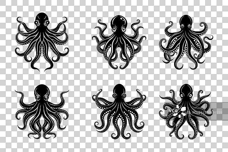 章鱼剪影集图片素材