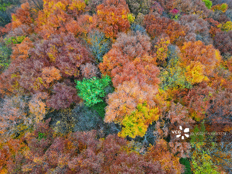 黄柏塬的秋图片素材