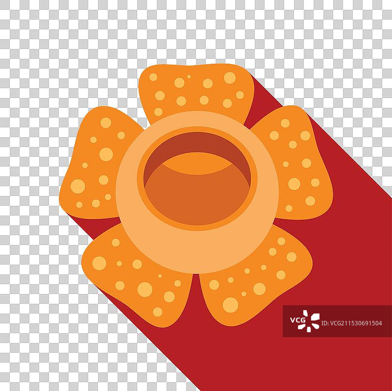 大王花盛开，展现其平坦的孔洞图片素材