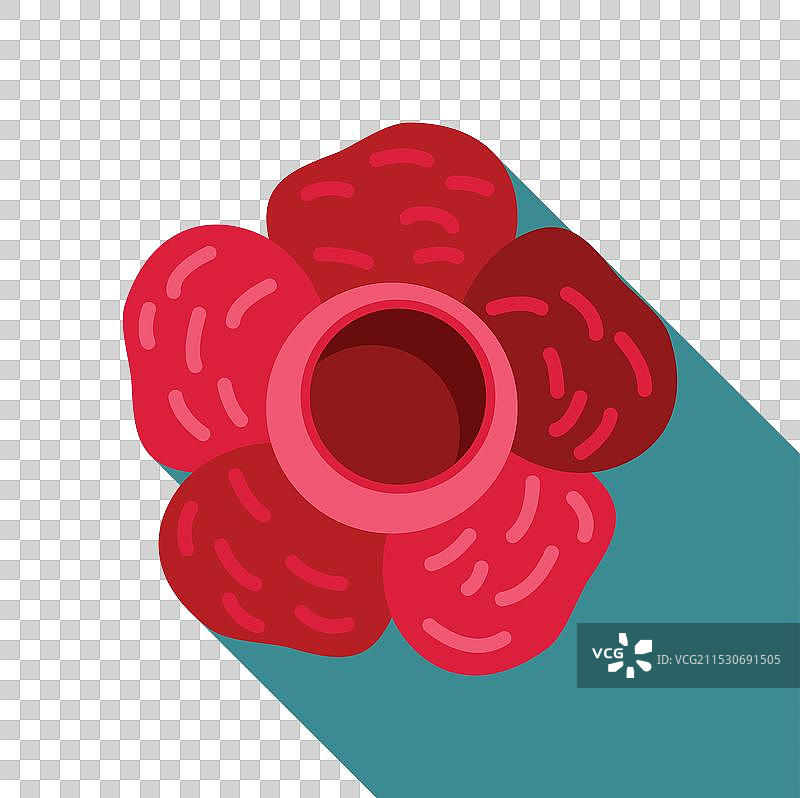 大王花盛开，展现花瓣和图片素材