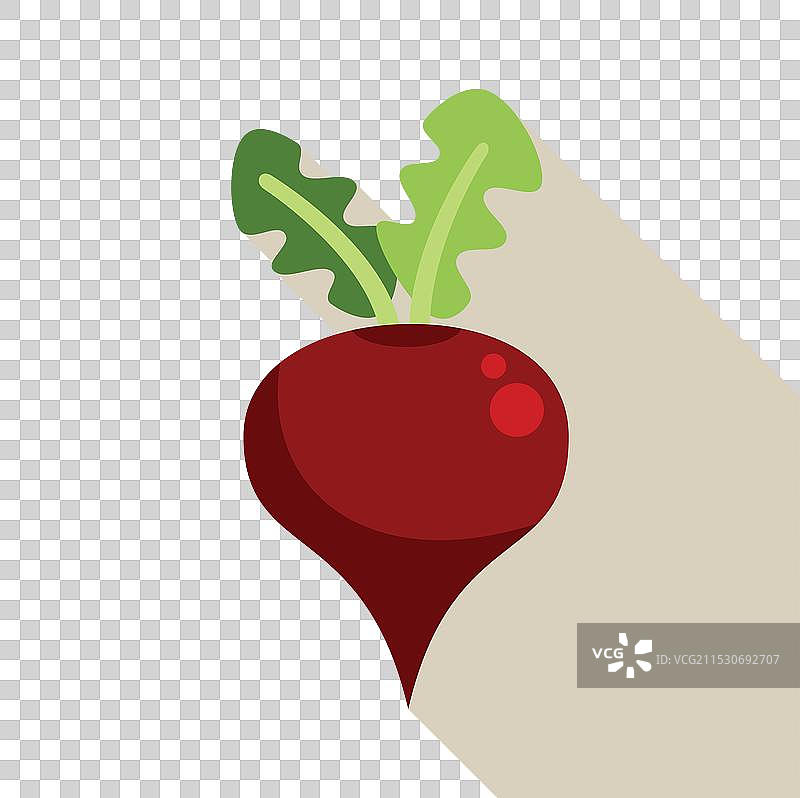 带叶子的甜菜根投下长长的阴影图片素材