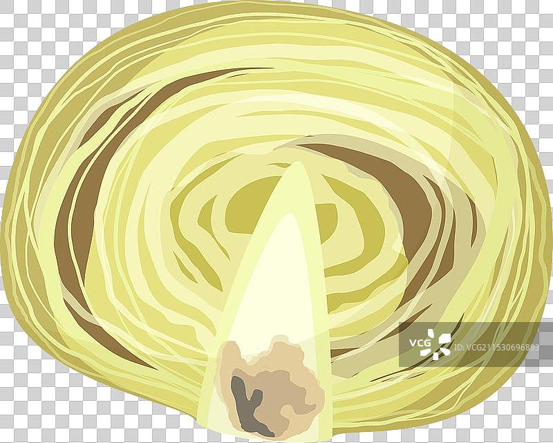 变质的卷心菜蔬菜图片素材