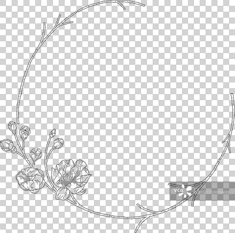 杏花花蕾的花环图片素材