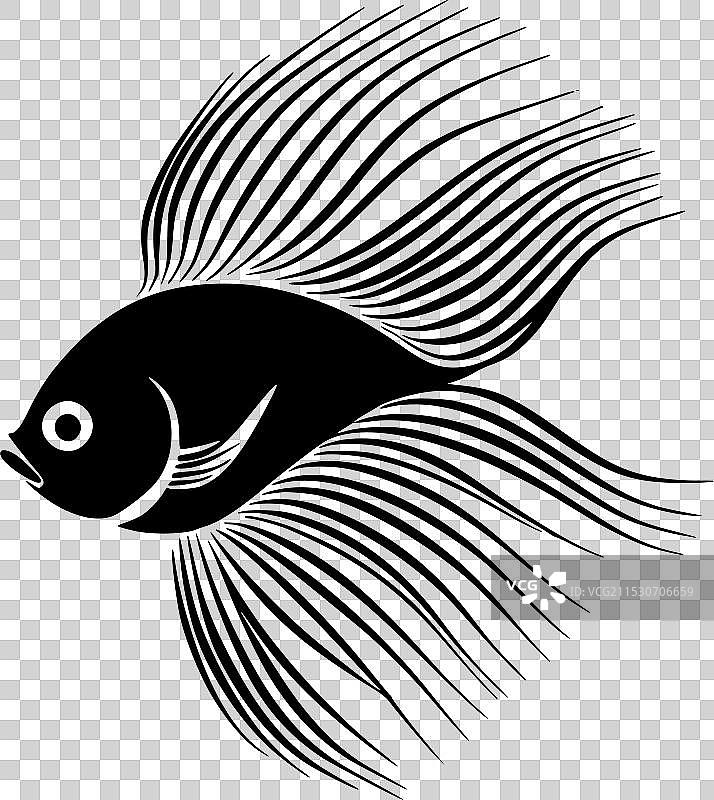 黑白孤立的天使鱼图标图片素材