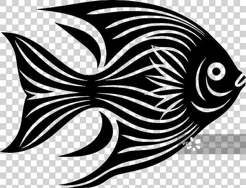 天使鱼 - 极简和简单的轮廓图片素材