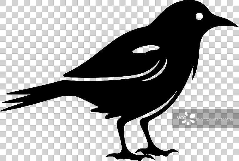 乌鸦 - 极简和简单的轮廓图片素材