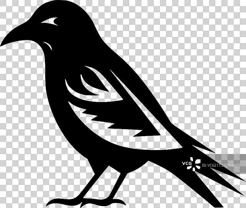 乌鸦 - 黑白孤立图标图片素材