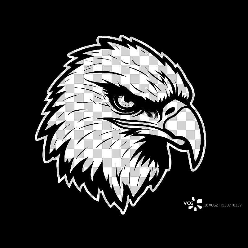 鹰 - 黑白色图片素材