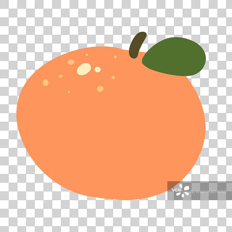 橘黄色的美味橘子插画图片素材