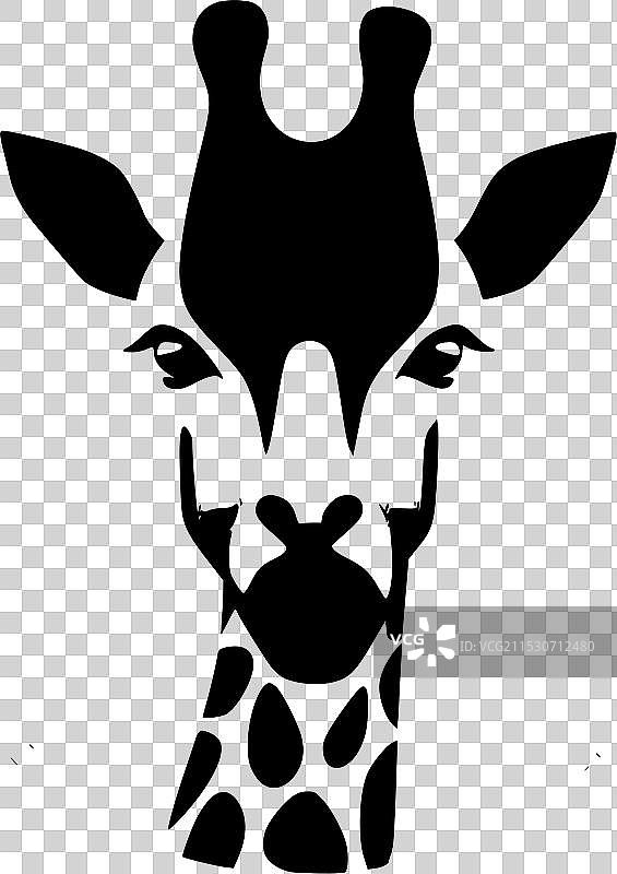 长颈鹿 - 极简和简单的轮廓图片素材