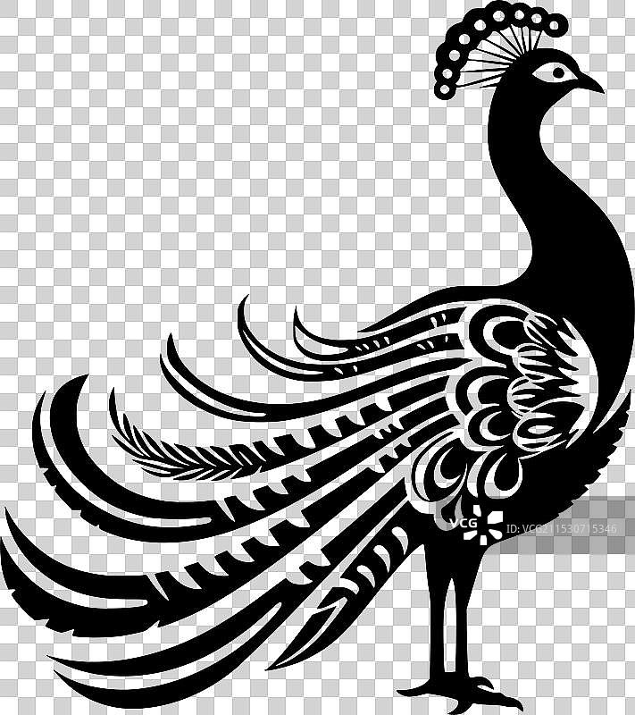 孔雀 - 黑白色图片素材