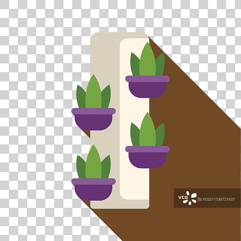 墙上挂着的花盆中生长的绿色植物图片素材