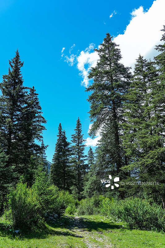 甘孜州道孚县亚拉雪山景区图片素材