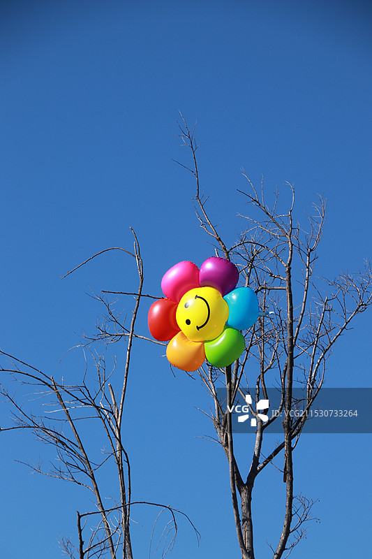 树上长出的笑脸图片素材